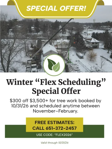 Winter Flex 2026